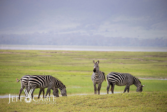 Edit_Tanzania_2016_0630