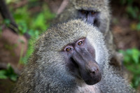 Edit_Tanzania_2016_0211