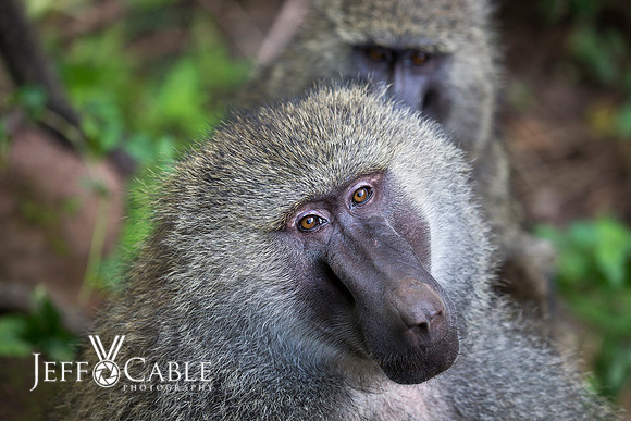 Edit_Tanzania_2016_0211