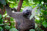 Edit_Tanzania_2016_0196