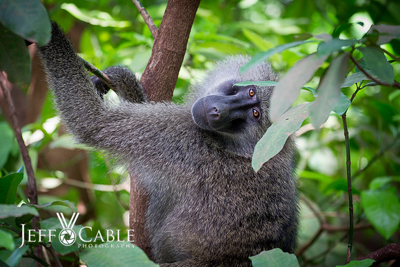Edit_Tanzania_2016_0196