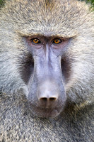 Edit_Tanzania_2016_0265