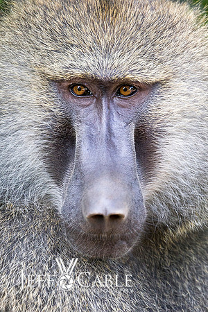 Edit_Tanzania_2016_0265