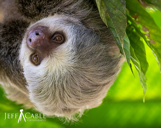 Edit-Costa-Rica-Photo Tour4-0456