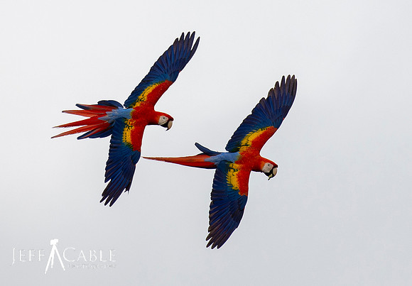 Edit-Costa-Rica-Photo Tour4-0102