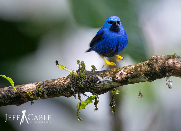 Edit-Costa-Rica-Photo Tour4-1809