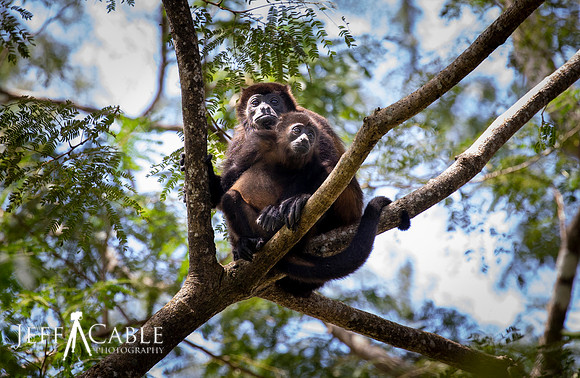 Edit-Costa-Rica-Photo Tour4-0269