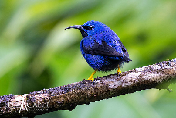 Edit-Costa-Rica-Photo Tour4-1824