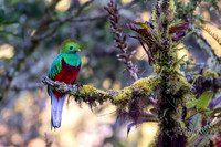 Edit-Costa-Rica-2020-0008