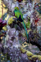 Edit-Costa-Rica-2020-0038