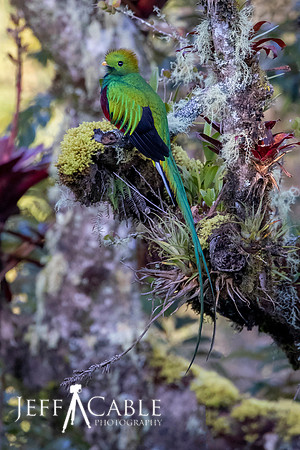 Edit-Costa-Rica-2020-0038