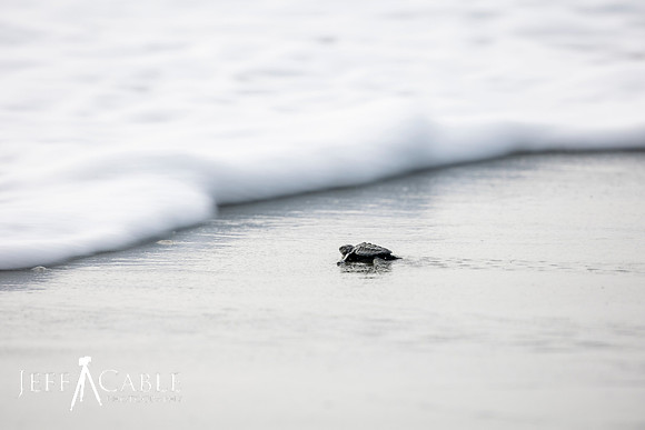 Edit-Costa-Rica-Photo Tour4-1726