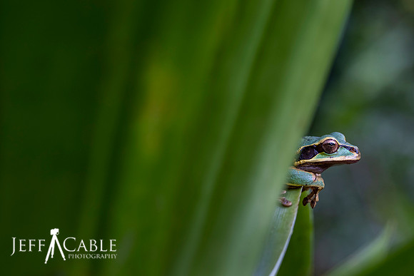 Edit-Costa-Rica-Photo Tour4-0973
