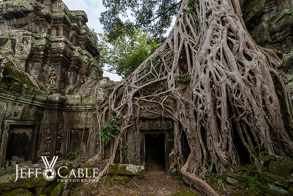 Cambodia