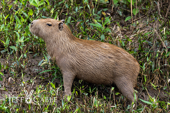 Peru Photo Tour