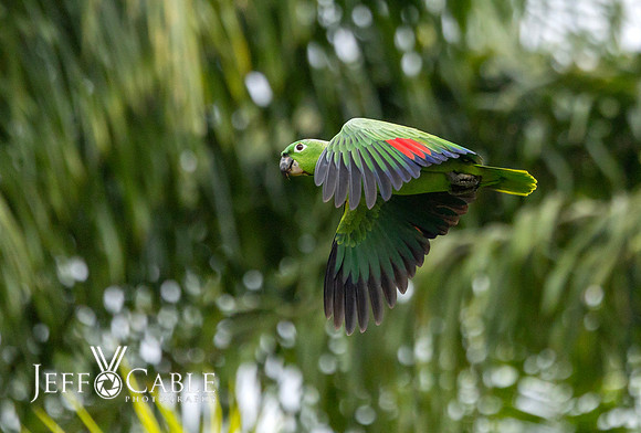 Costa Rica Photo Tours