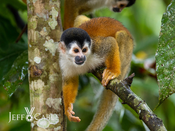Costa Rica Photo Tours