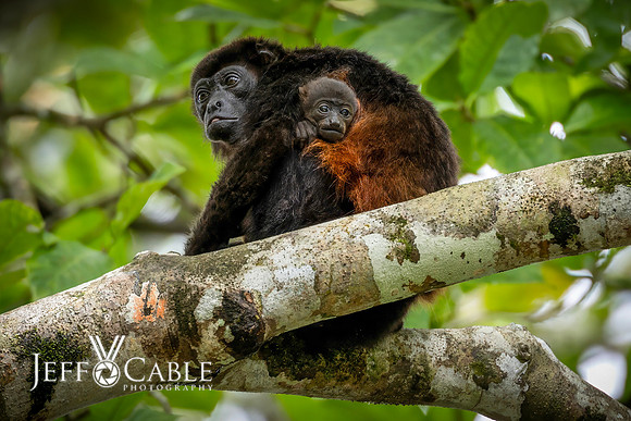 Costa Rica Photo Tours