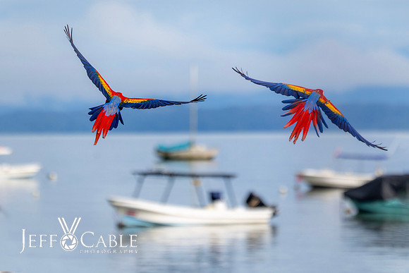 Costa Rica Photo Tours
