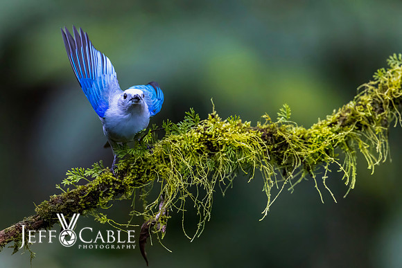 Costa Rica Photo Tours