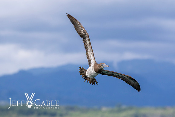 Costa Rica Photo Tours