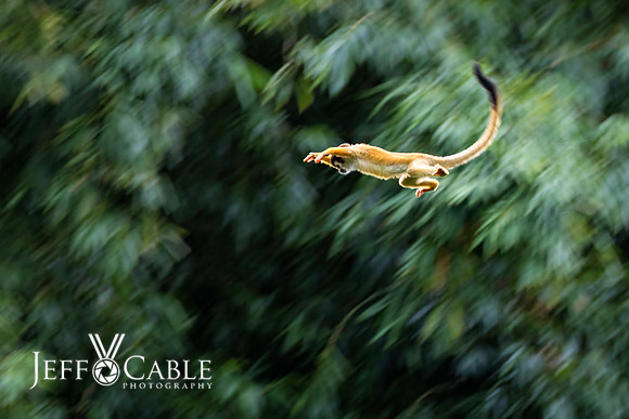 Costa Rica Photo Tours