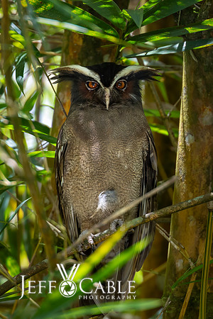 Costa Rica Photo Tours