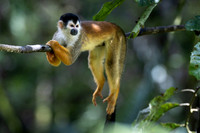 Costa Rica Photo Tours