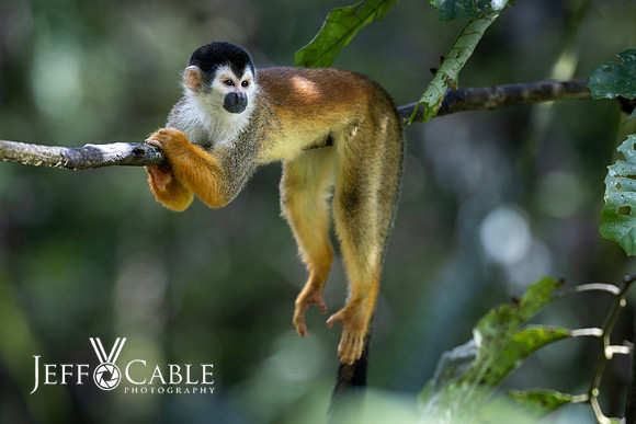 Costa Rica Photo Tours