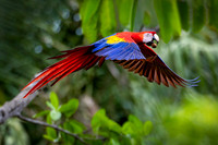 Costa Rica