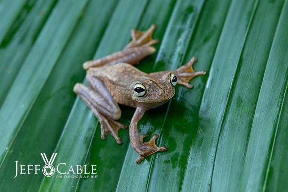 Costa Rica Photo Tours