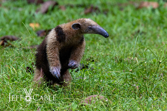 Costa Rica Photo Tours