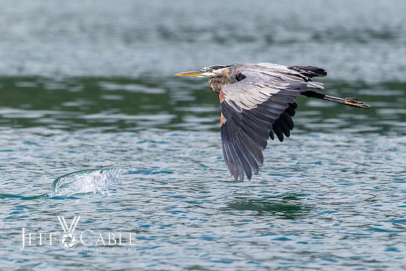 Costa Rica Photo Tours