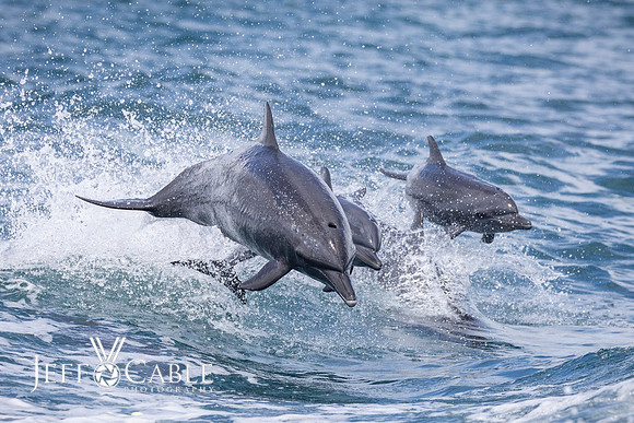 Costa Rica Photo Tours