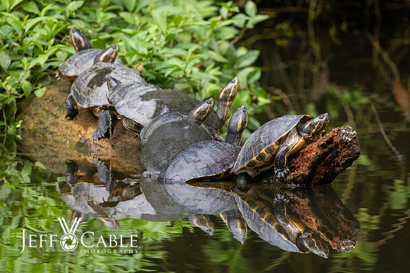Costa Rica Photo Tours