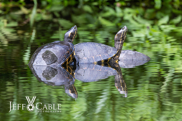 Costa Rica Photo Tours