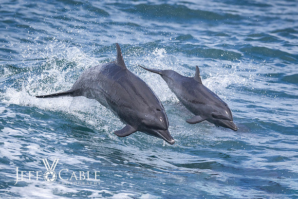 Costa Rica Photo Tours