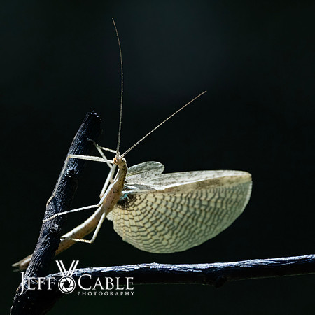 Costa Rica Photo Tours
