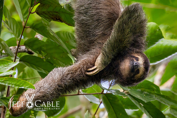 Costa Rica Photo Tours