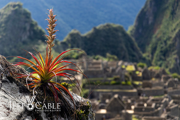 Peru Photo Tour