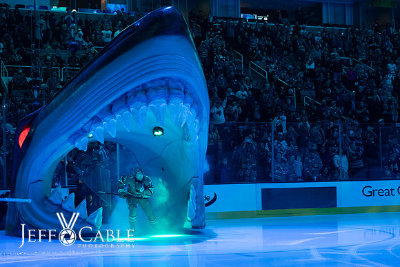 Edit-Sharks-vs-Vegas-0033