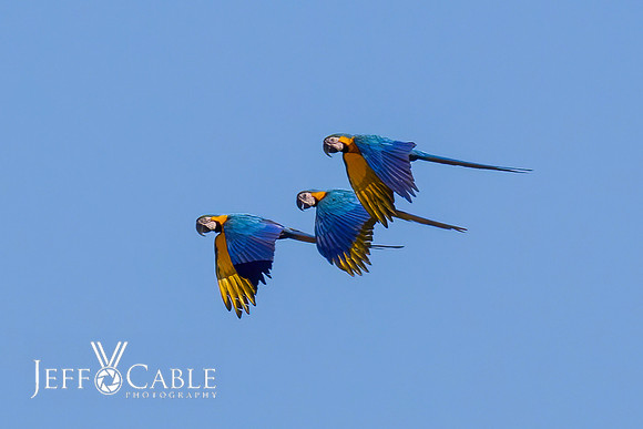 Peru Photo Tour