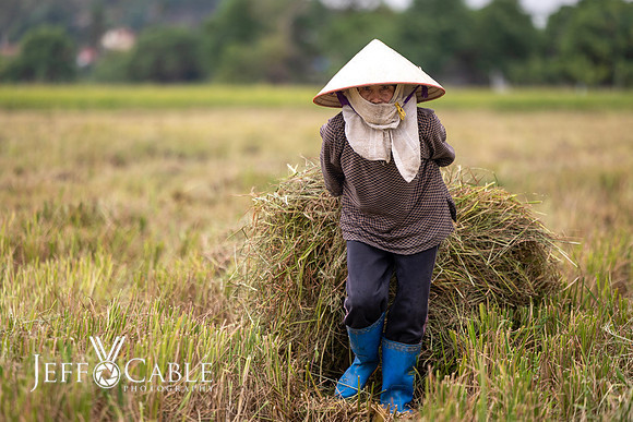 Vietnam