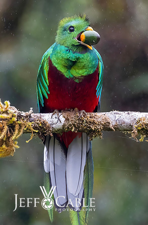 Costa Rica Photo Tours