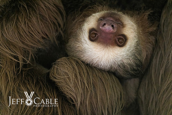 Costa Rica Photo Tours
