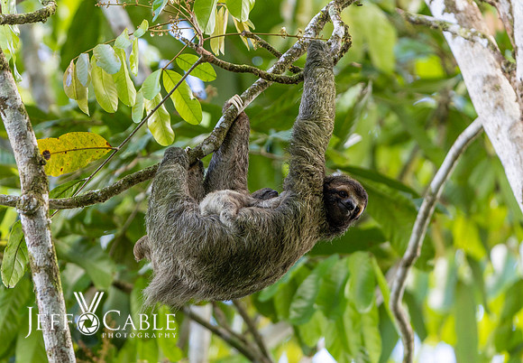 Costa Rica Photo Tours