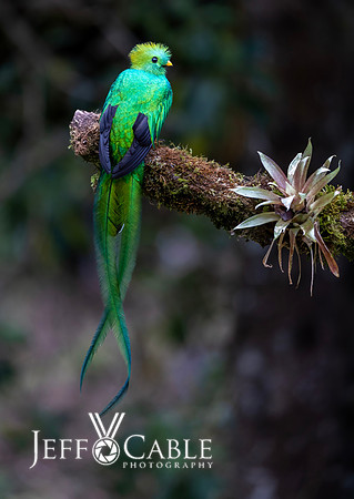 Costa Rica Photo Tours