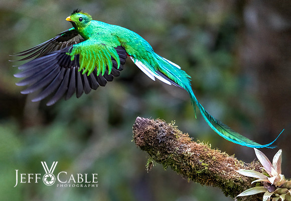 Costa Rica Photo Tours