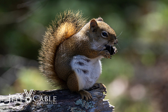 Edit-Minnesota-Photo-Tour-0113