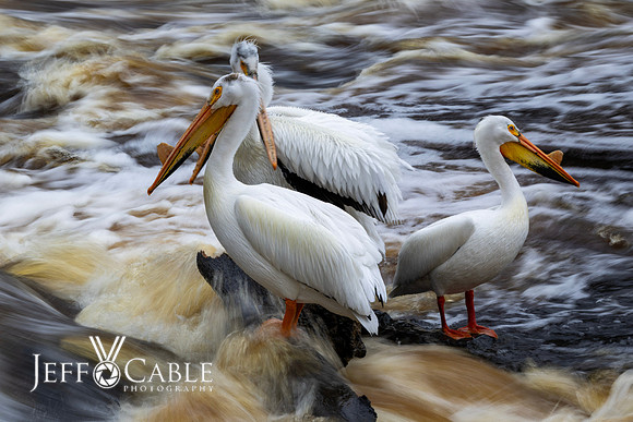 Edit-Minnesota-Photo-Tour-0324